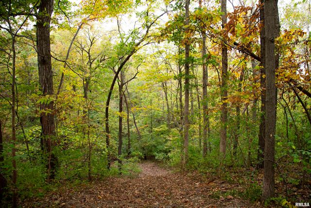 1066 County Road 1150 N Road, Henry, IL 61537