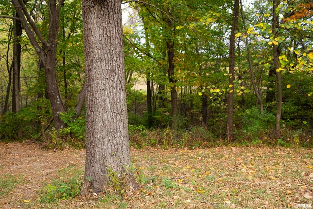 1066 County Road 1150 N Road, Henry, IL 61537