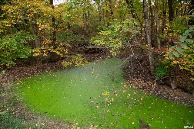 1066 County Road 1150 N Road, Henry, IL 61537