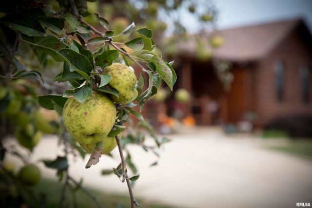 1066 County Road 1150 N Road, Henry, IL 61537