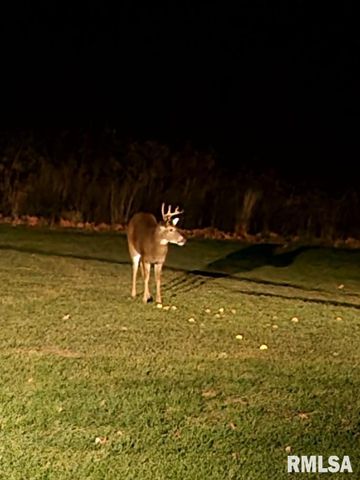 1066 County Road 1150 N Road, Henry, IL 61537