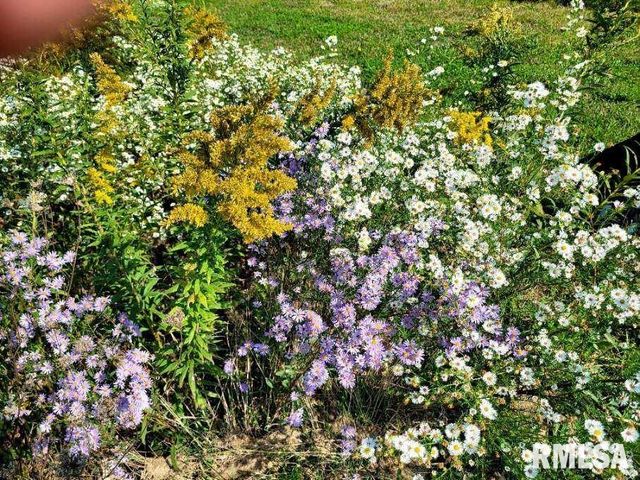 1066 County Road 1150 N Road, Henry, IL 61537