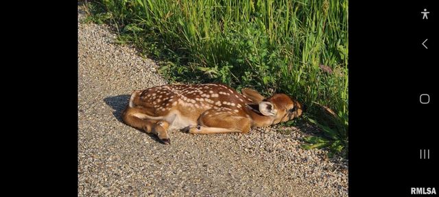 1066 County Road 1150 N Road, Henry, IL 61537