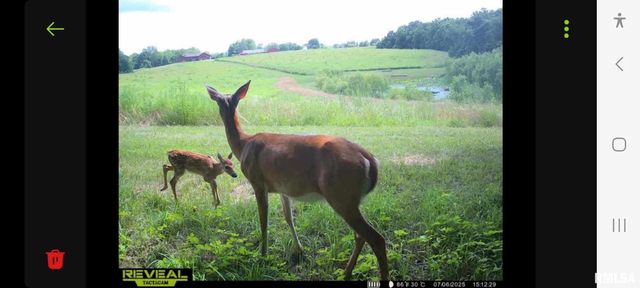 1066 County Road 1150 N Road, Henry, IL 61537