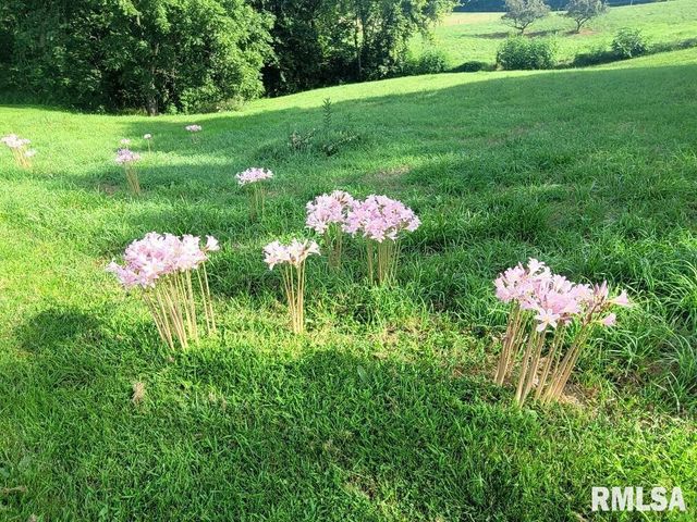 1066 County Road 1150 N Road, Henry, IL 61537