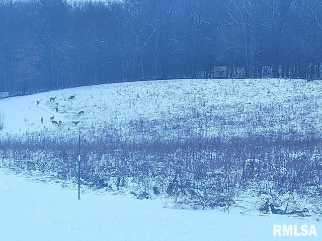 1066 County Road 1150 N Road, Henry, IL 61537