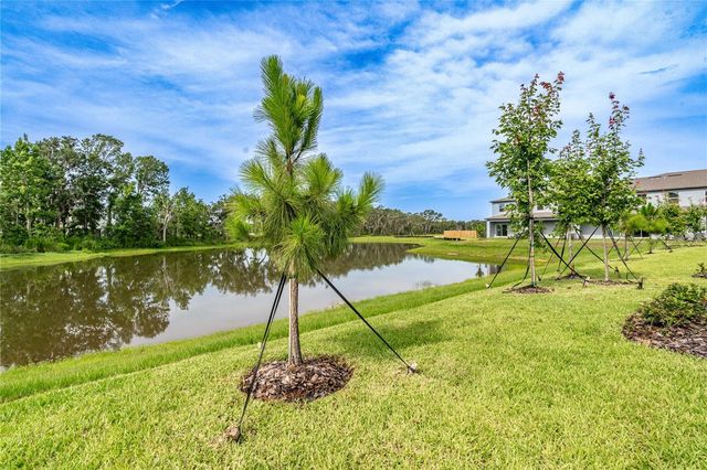 5095 CAPRI HARBOR DRIVE, Wimauma, FL 33598