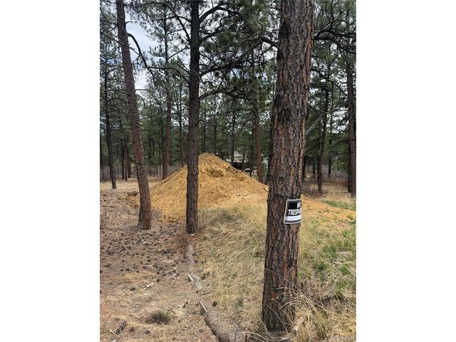 636 Copper Fox Pl, Larkspur, CO 80118