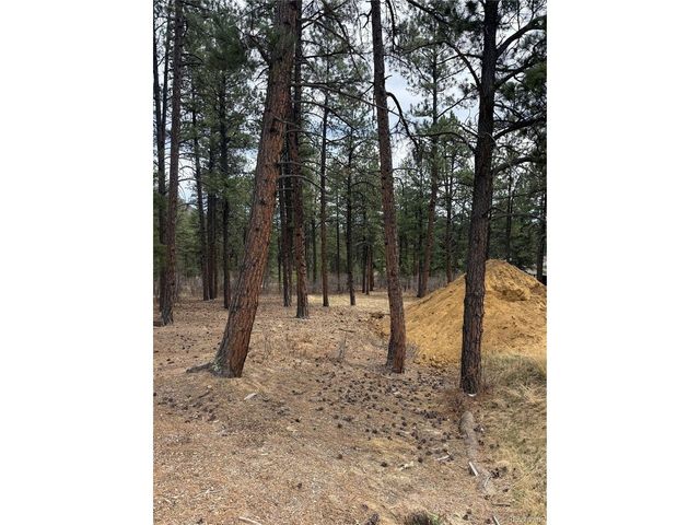636 Copper Fox Pl, Larkspur, CO 80118