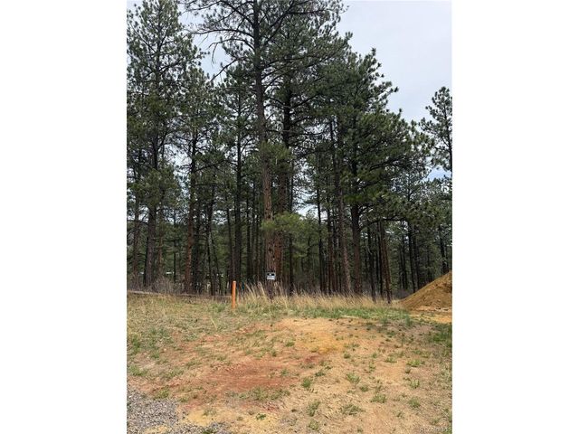 636 Copper Fox Pl, Larkspur, CO 80118