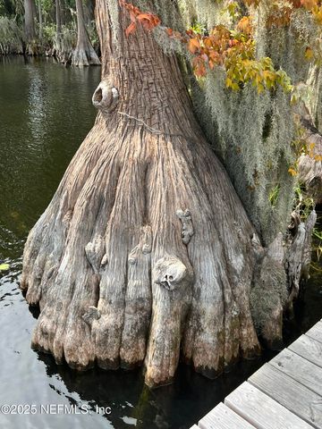 21707 NE 115TH Avenue, Earleton, FL 32631