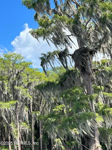 21707 NE 115TH Avenue, Earleton, FL 32631