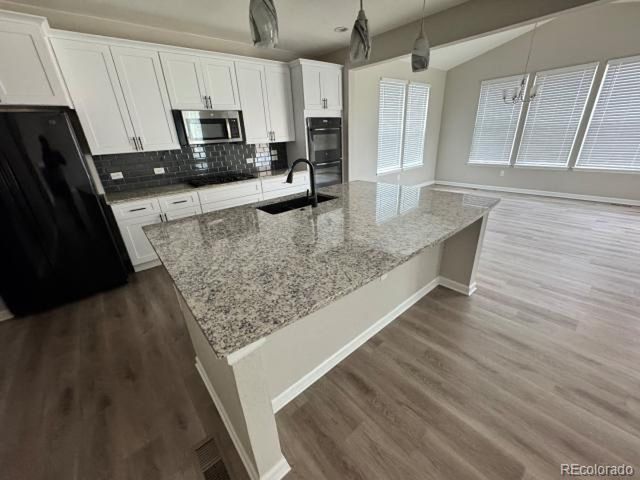2389 Mccracken Ln, Castle Rock, CO 80104