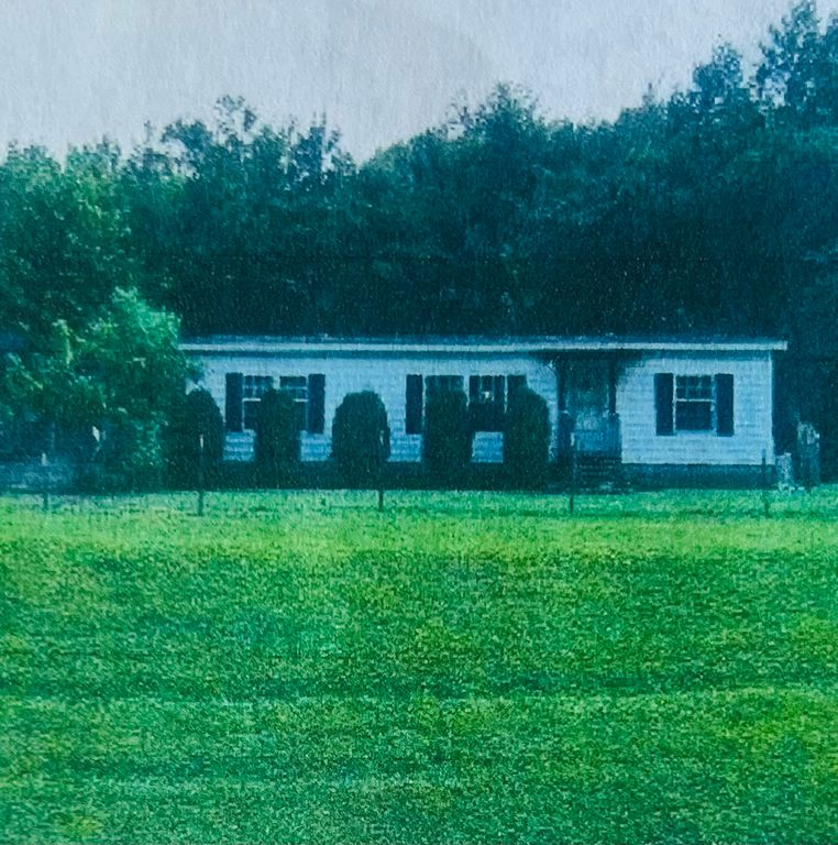 607 Sugartree Springs Rd, Belvidere, TN 37306