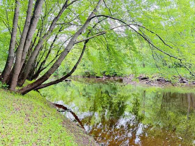 9706 State Highway 95, Princeton, MN 55371