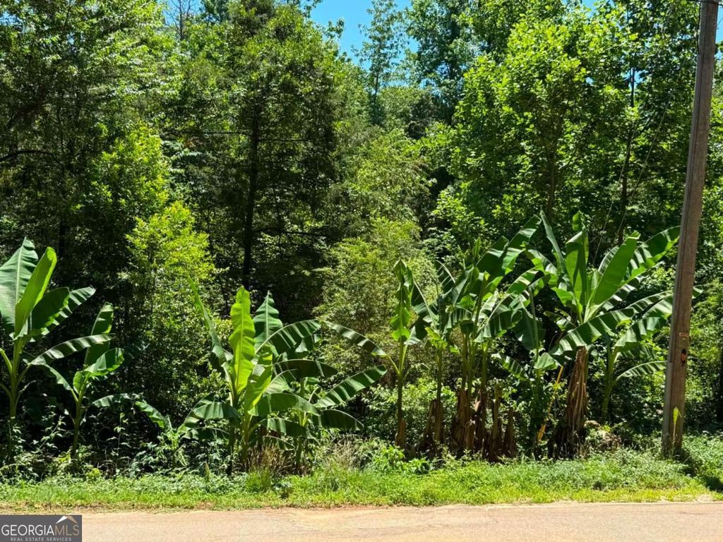 0 Lakeshore Road, Martin, GA 30557 — photo 2
