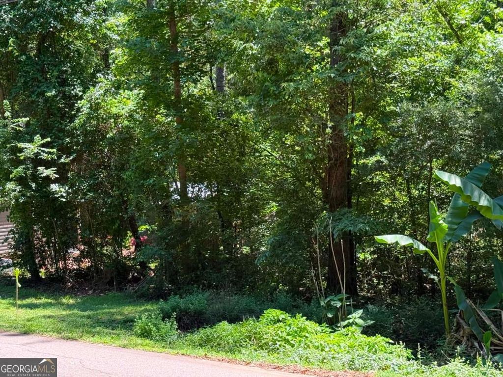 0 Lakeshore Road, Martin, GA 30557 — photo 3
