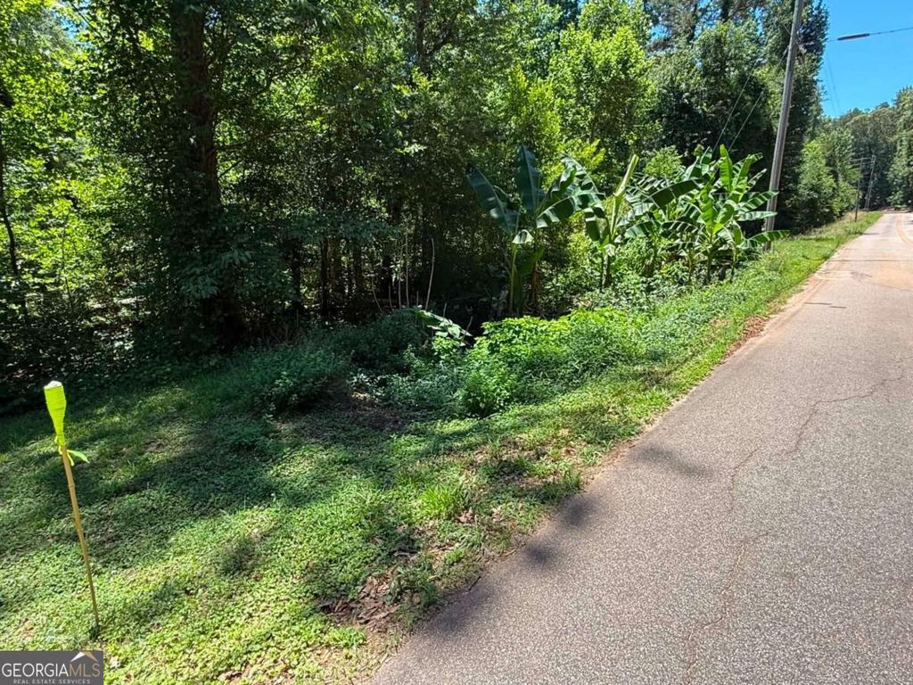 0 Lakeshore Road, Martin, GA 30557 — photo 4