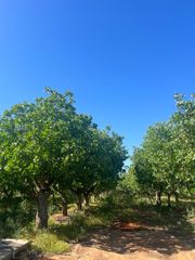 1 Road 36, Madera, CA 93636