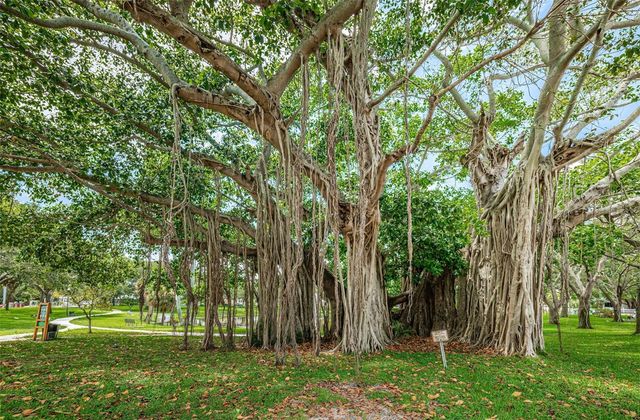 547 15TH STREET N, St Petersburg, FL 33705