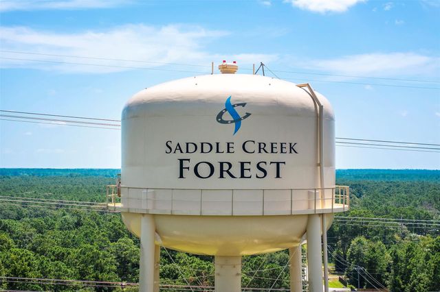 27140 Saddlehorn Drive, Waller, TX 77484