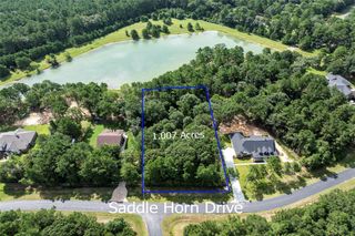 27140 Saddlehorn Drive, Waller, TX 77484