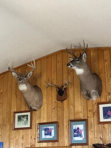 11775 Highway 71, Northome, MN 56661