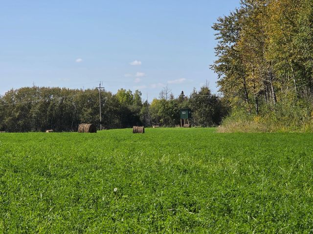 11775 Highway 71, Northome, MN 56661