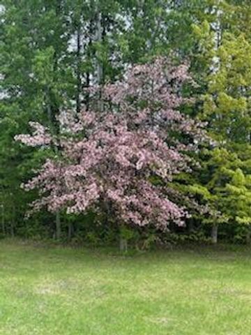 11775 Highway 71, Northome, MN 56661