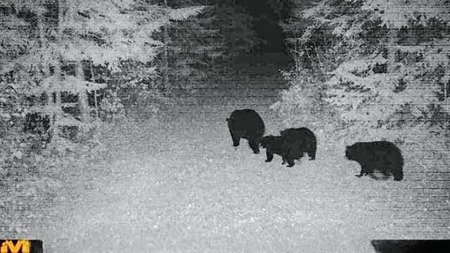 11775 Highway 71, Northome, MN 56661