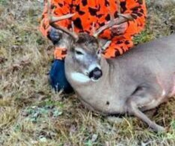 11775 Highway 71, Northome, MN 56661