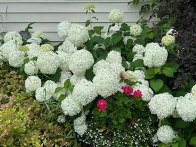 11775 Highway 71, Northome, MN 56661