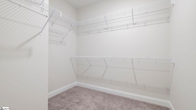 203 Durness Court, Anderson, SC 29621