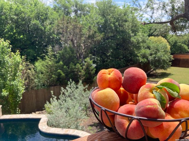 25514 River Ledge, San Antonio, TX 78255