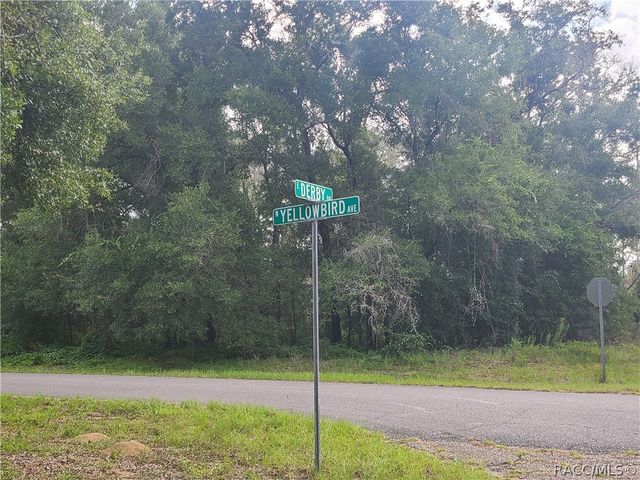 1823 E Derby Drive, Dunnellon, FL 34434