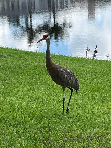 17921 Villa Club Way, Boca Raton, FL 33496