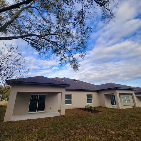 1293 DISSTON AVENUE, Clermont, FL 34711
