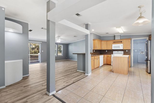 357 WALTERS PLACE, Fruitland Park, FL 34731