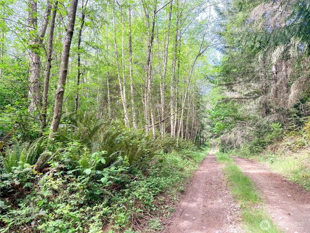 2 XXX Teal Lake Road, Port Ludlow, WA 98365