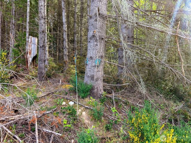 2 XXX Teal Lake Road, Port Ludlow, WA 98365