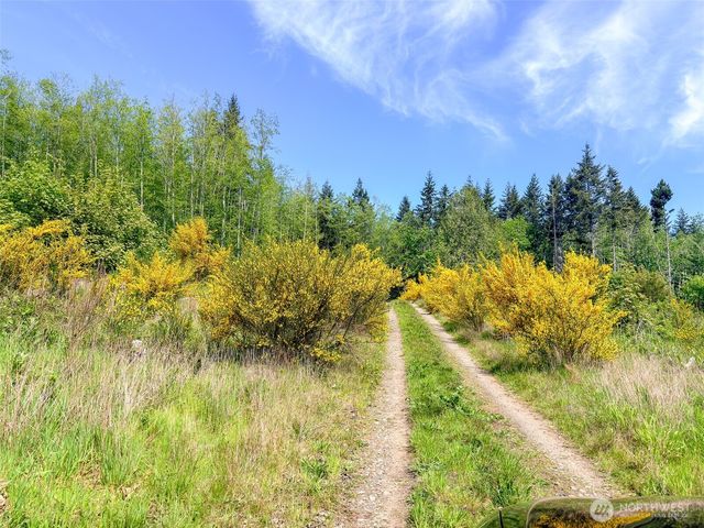 2 XXX Teal Lake Road, Port Ludlow, WA 98365