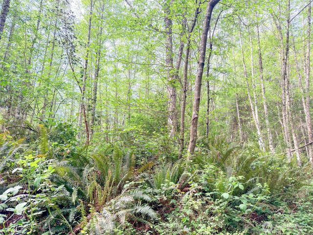 2 XXX Teal Lake Road, Port Ludlow, WA 98365