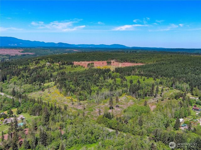 2 XXX Teal Lake Road, Port Ludlow, WA 98365