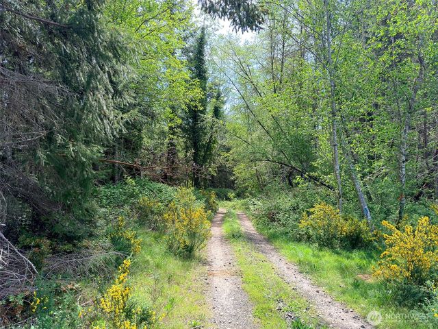 2 XXX Teal Lake Road, Port Ludlow, WA 98365