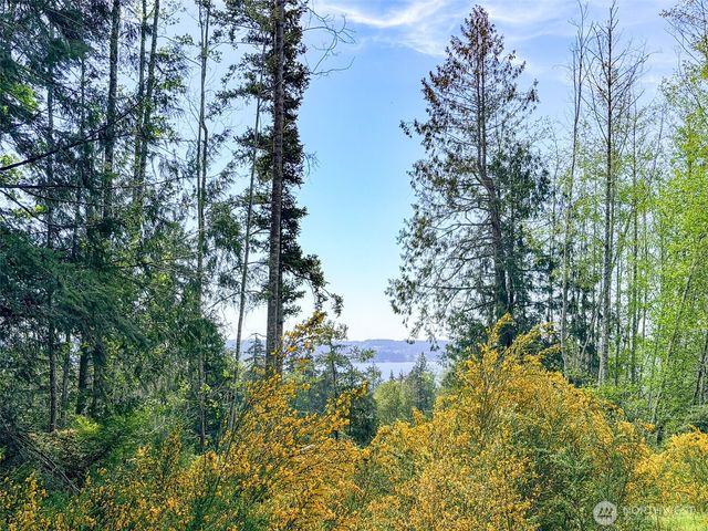 2 XXX Teal Lake Road, Port Ludlow, WA 98365