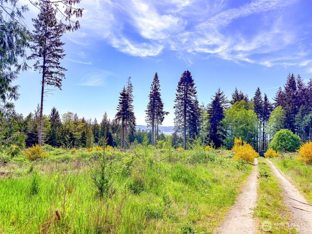 2 XXX Teal Lake Road, Port Ludlow, WA 98365