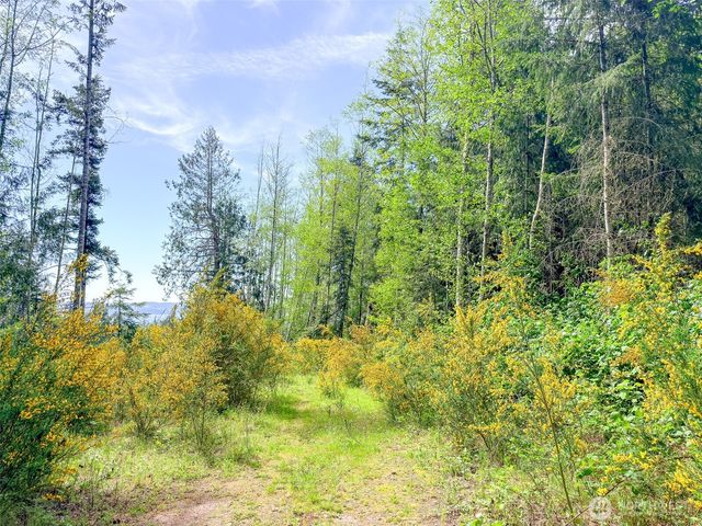 2 XXX Teal Lake Road, Port Ludlow, WA 98365