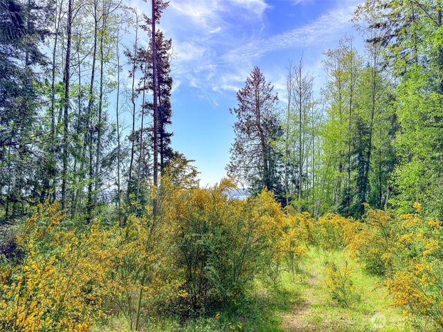 2 XXX Teal Lake Road, Port Ludlow, WA 98365
