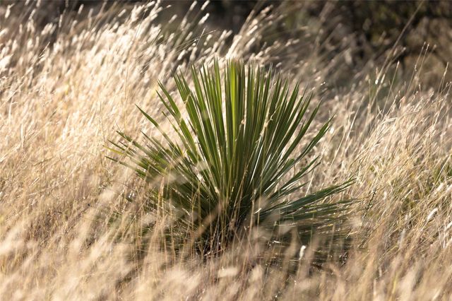 TBD W RR 962, Round Mountain, TX 78663