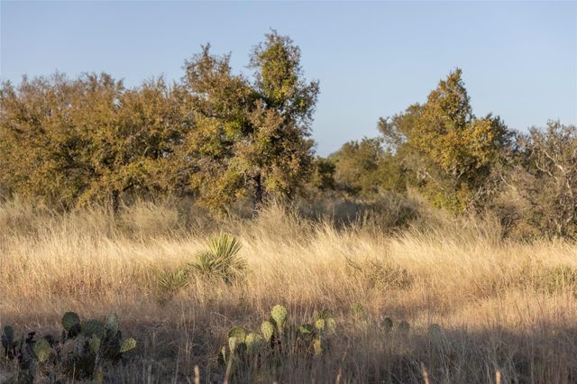 TBD W RR 962, Round Mountain, TX 78663